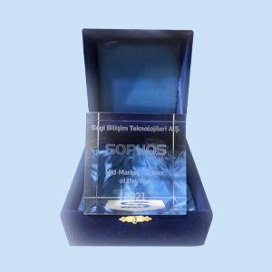 Gegi 2021 yılında Sophos Yılın Orta Pazar Ortağı Ödülü'nü kazandı.